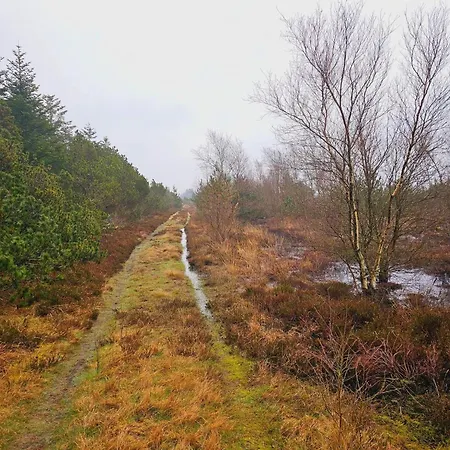 6 Person In Holiday home Norre Nebel