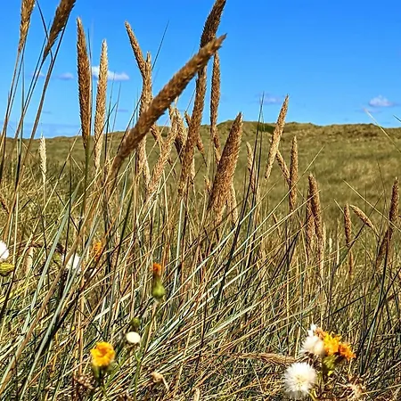 Holiday home 6 Person In Norre Nebel