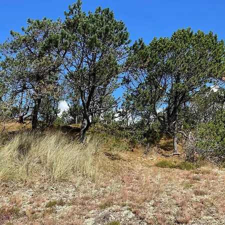 Holiday home 6 Person In